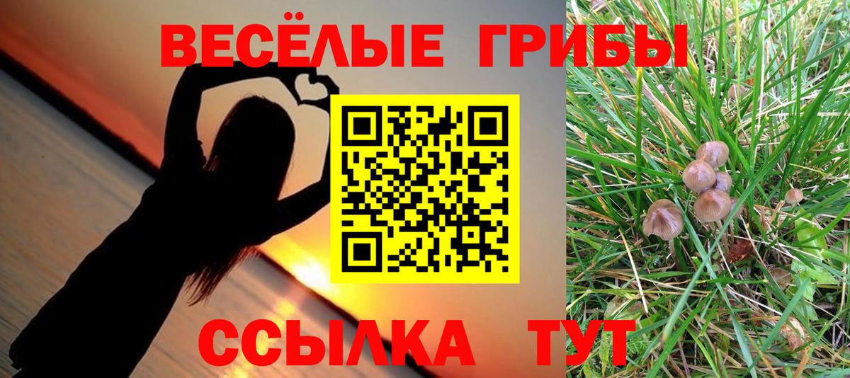 Псилоцибиновые грибы GOLDEN TEACHER Россошь