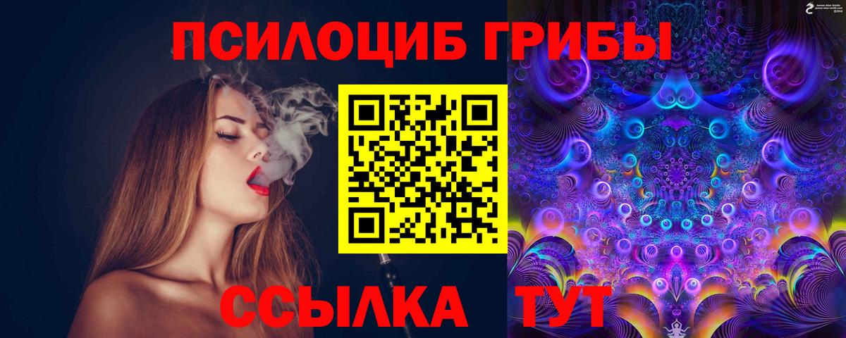 Россошь  Галлюциногенные грибы Psilocybe  Псилоцибиновые грибы MAGIC MUSHROOMS  Вход с VPN 